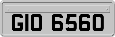 GIO6560