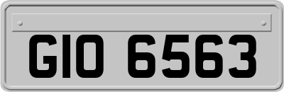 GIO6563