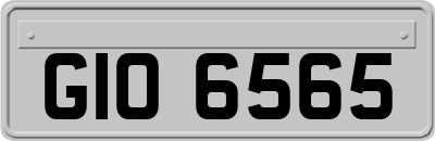 GIO6565