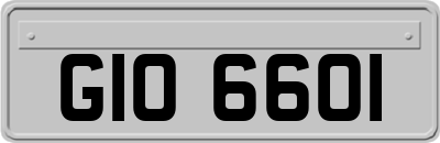 GIO6601