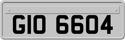 GIO6604