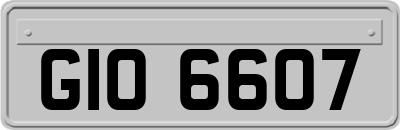 GIO6607