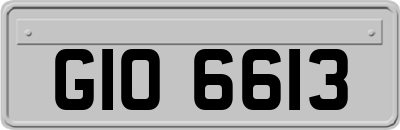 GIO6613