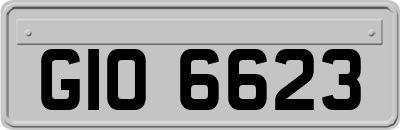 GIO6623