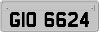 GIO6624