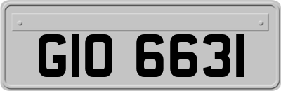 GIO6631