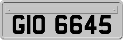 GIO6645