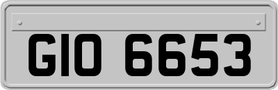 GIO6653