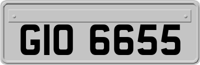 GIO6655