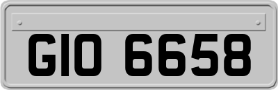GIO6658