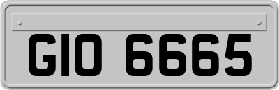 GIO6665
