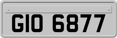 GIO6877