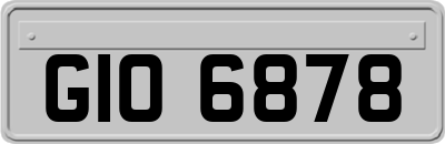 GIO6878