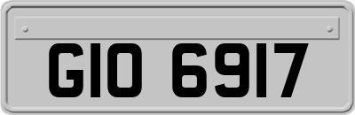 GIO6917