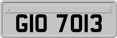 GIO7013