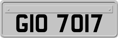GIO7017