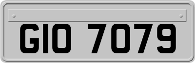 GIO7079
