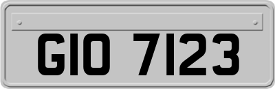 GIO7123