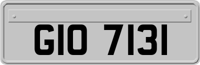 GIO7131