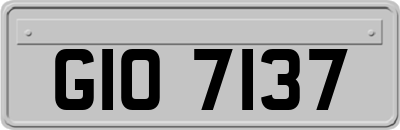 GIO7137