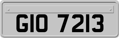 GIO7213
