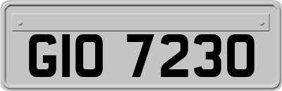 GIO7230