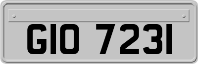 GIO7231