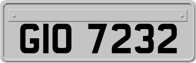 GIO7232