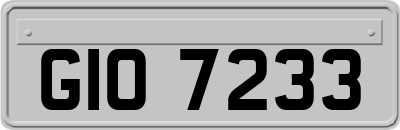 GIO7233