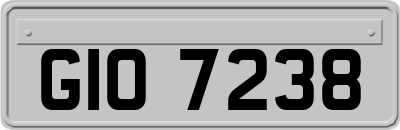 GIO7238