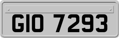 GIO7293