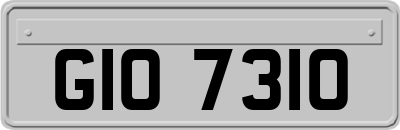 GIO7310