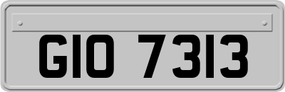 GIO7313