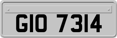 GIO7314