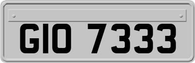 GIO7333