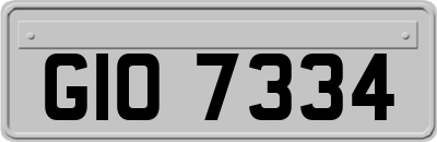 GIO7334