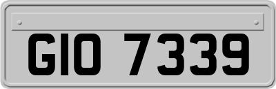 GIO7339