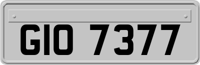 GIO7377
