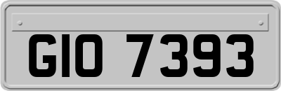 GIO7393