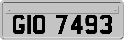 GIO7493