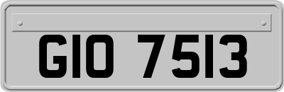 GIO7513
