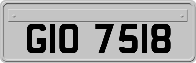 GIO7518