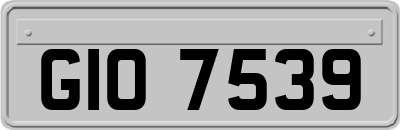 GIO7539