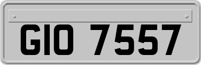 GIO7557