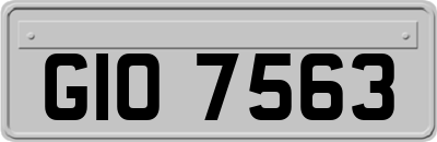 GIO7563