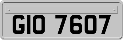 GIO7607