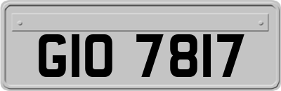GIO7817