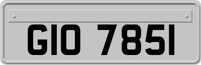 GIO7851