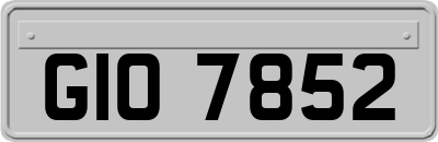 GIO7852