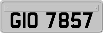 GIO7857